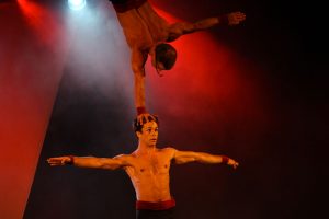 Acrobates